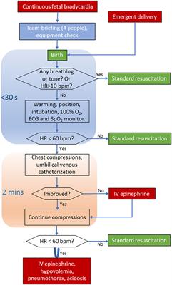 The Resuscitation of Apparently Stillborn Neonates: A Peek Into the Practice in China